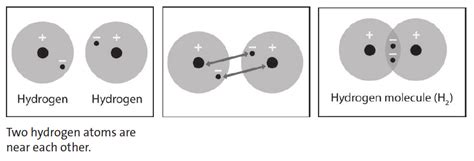 how are hydrogen bonds similar to ionic bonds quizlet